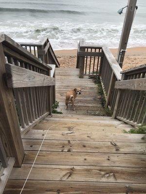 The stairs out from our room to the ocean.   The tide was coming in. It was great hearing the ocean as you slept.