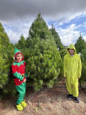 Holiday elf and grinch picking there tree .