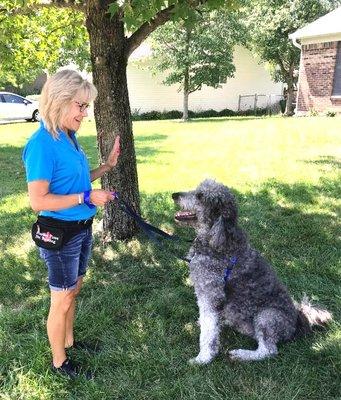 Oakley has so much patience with his sit/stay.