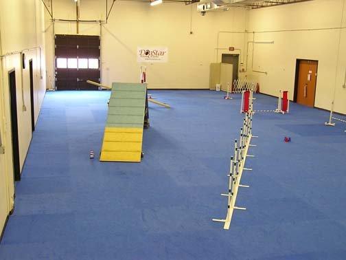 Training arena for agility