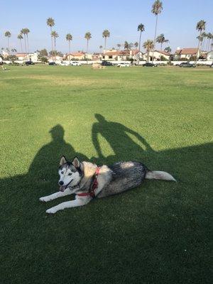 8.31.21 This one, Kalia, ran onto the soccer field to play with Kaleb!