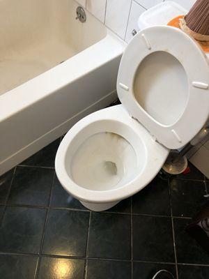 Toilet antes de la limpieza.