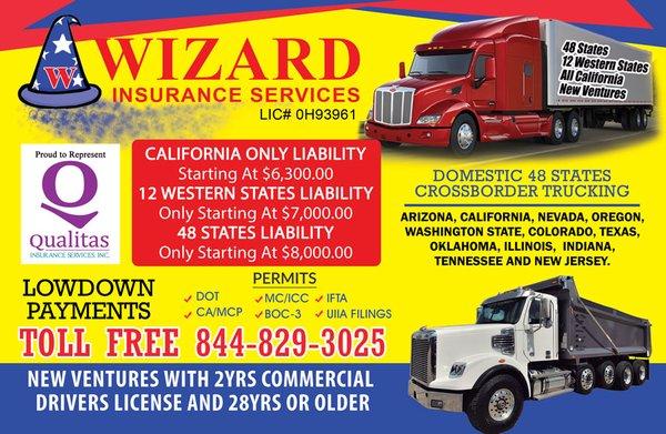 Wizard Insurance Services Inc