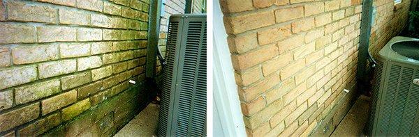 An exterior wall before and after pressure cleaning services.