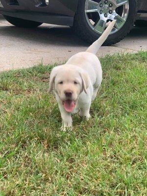 While still at Breeder. Whatta cutie!