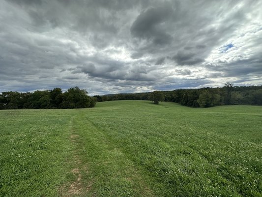 Walk the rolling hills where the Susquehannock lived and grew crops, like corn, beans and squash.