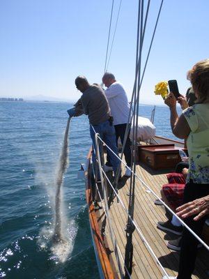 scattering of ashes off the sailing yacht JADA