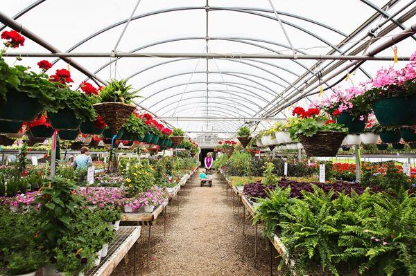 Indian Trail Greenhouse & Nursery