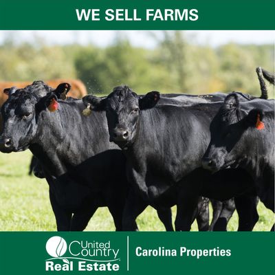 United Country Carolina Properties