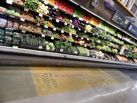 We provide concrete grinding, color dye with customized stencil and polish. We maintain the Whole Foods Stores in Orlando area.