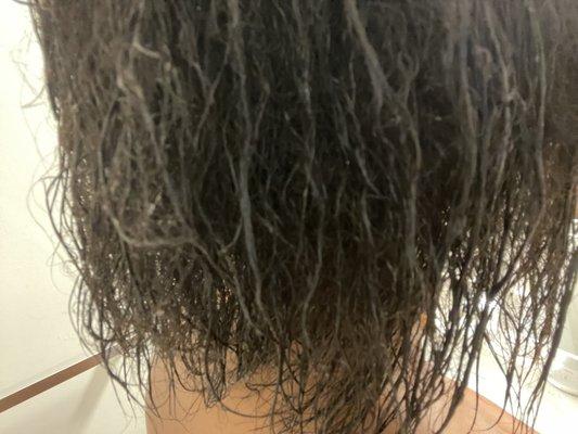 severe damage performed by hairstylists at Karlines salon. On virgin natural hair.