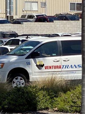 Ventura transit van