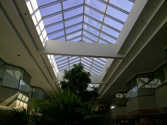 Atrium Skylight