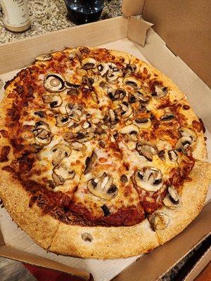 Mushroom Pizza