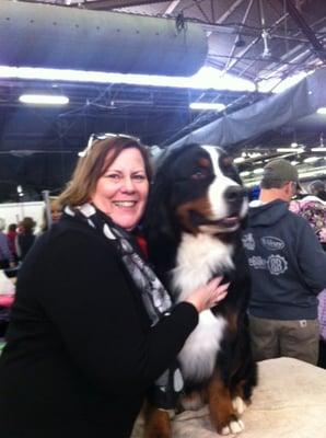 Dog show heaven!