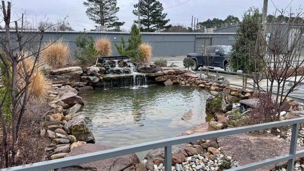 Amazing Koi pond in front of the store.