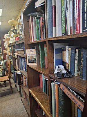 Book shelves with little treasures