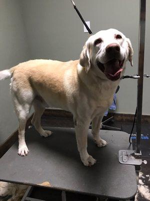 Excited to get his hair cut