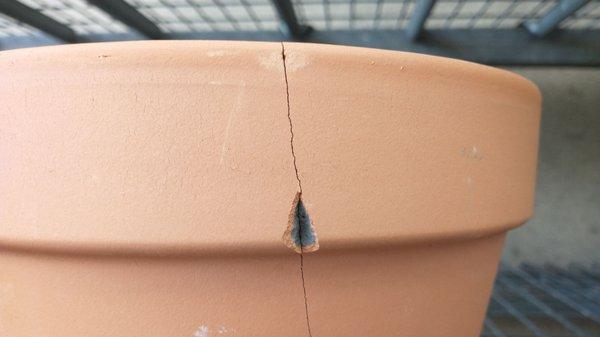 Take a closer look at the cracked terracotta pot