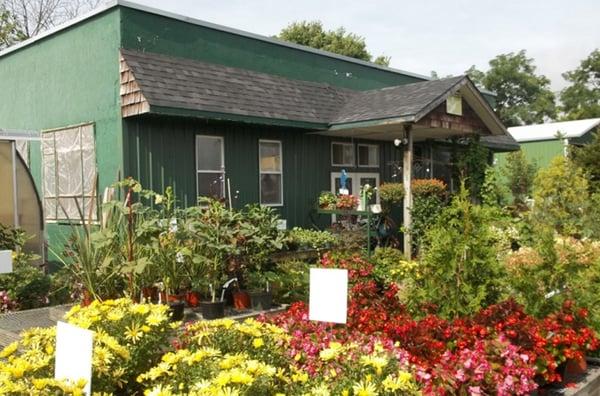 Peters Nursery & Garden Store