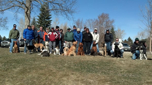 This was a pic from a group dog lesson in Littleton.