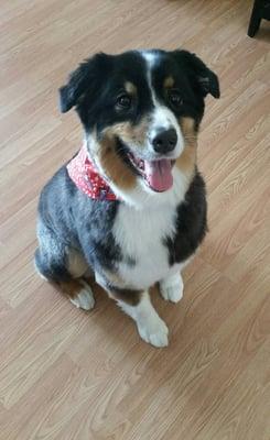 Murphy looks great after his new 'do!