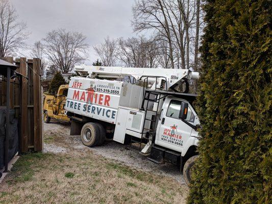 Jeff Manier's Tree Service