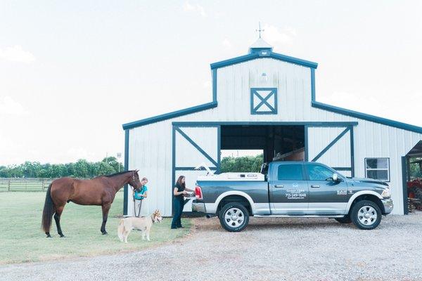 Mobile horse vet services