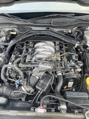 Engine Bay Detail