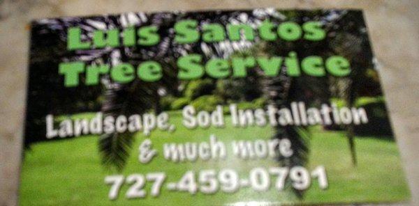 Luis Santos Tree Service