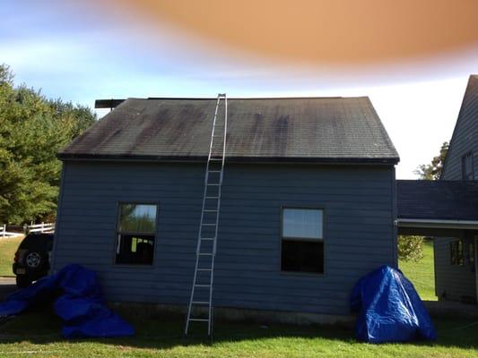 Roof Cleaning Before Pic.