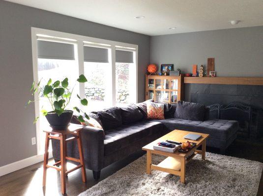 Designer Screen Shades w/room darkening for T.V viewing in family room in Portland.....a current look to a tasteful remodeled home!