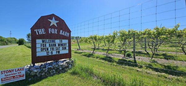 Look for our sign and grapes growing right across the street.