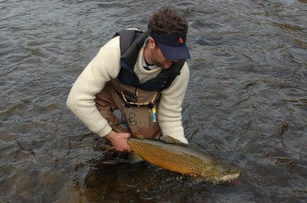 Fly Fishing Consultant