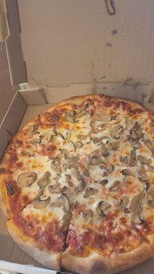 Mushroom cheese medium pizza