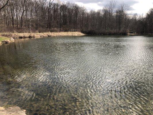 Furnace Run Metro Park