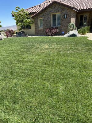 Dry spot in middle of lawn.