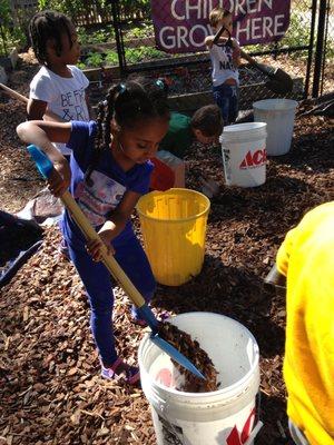 Planting in the garden.