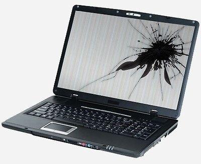 Cracked Laptop Screen Replacement