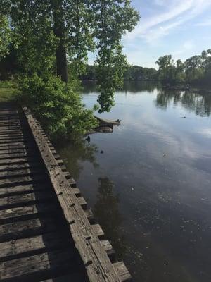 Old trail way. Some guys were bow fishing. I would've taken their picture but afraid they might get in trouble