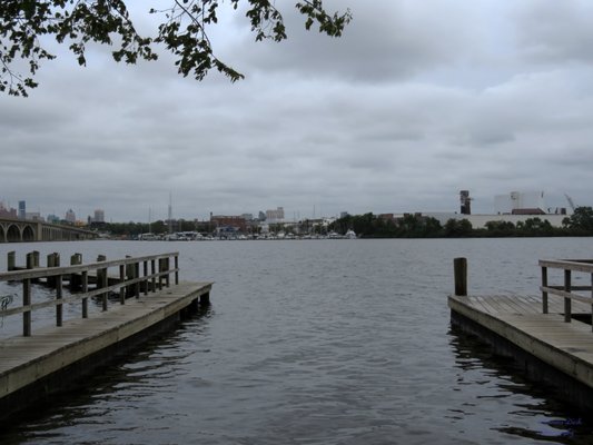 A partial view of Port Covington from Midldle Branch Park / Gwynn Falls Trail.