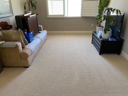 D & G Carpet Cleaning