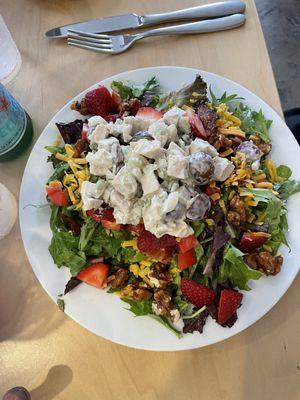 Ringling salad with a scoop of freshly made chicken salad