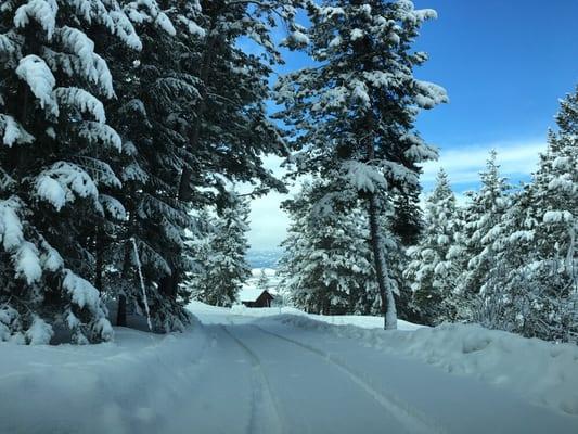 All vehicles are ready for snow and we use the AWD vehicles to ensure the safety of our passengers.