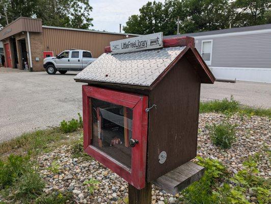 Little Free Library 21612, Danville