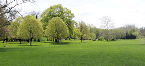 Just a glimpse of Wolfe Park.