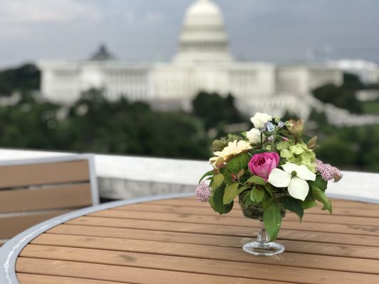 Cocktail arrangement with a view.