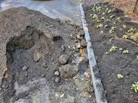 Clay balls galore! No compost.