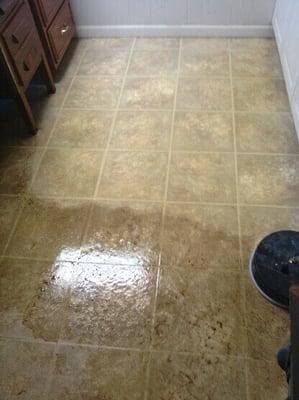 Vinyl floor cleaning