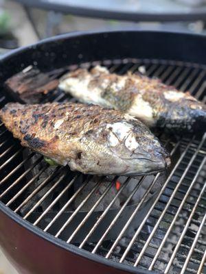 Fresh fish! Picked up some fresh fish on a weeknight to grill. This may have been one of our most favorite meals of the summer. Aug 2020